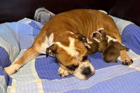 BK-Schlander-20260102-9-200