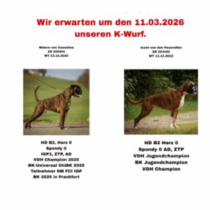 BK-Schlander-8A2800E3-21-300