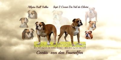 Fanny-Paarung-Version 4-400