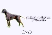 Schlander-H-Wurf-02-02-2025_00-210